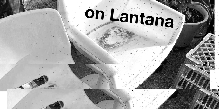 on Lantana and misinformation